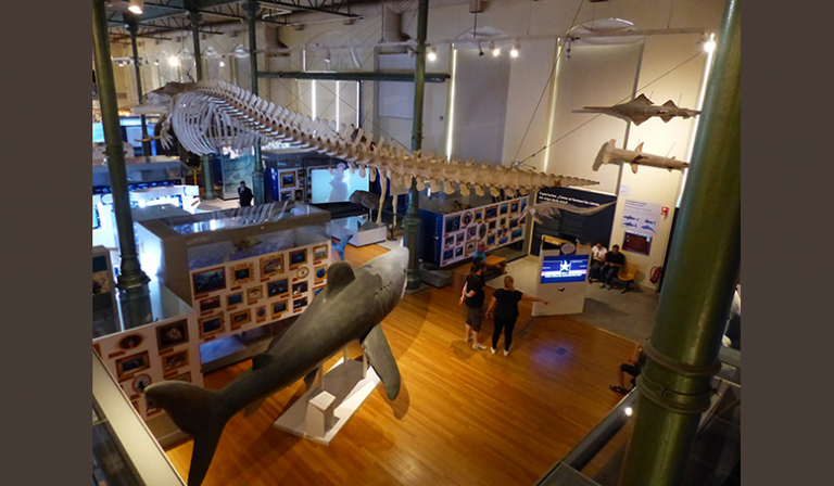 Concytec: Este 17 y 18 de mayo siente “El Poder de los Museos” en Lima