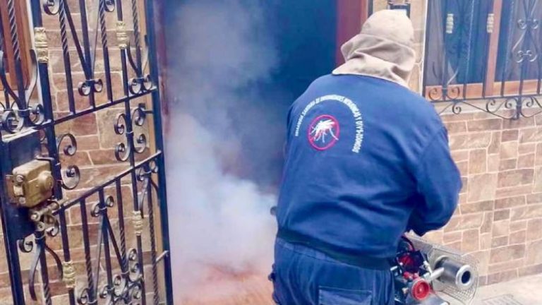 Lima Este: Brigadas realizan fumigación en más de 9500 viviendas para la lucha contra el dengue