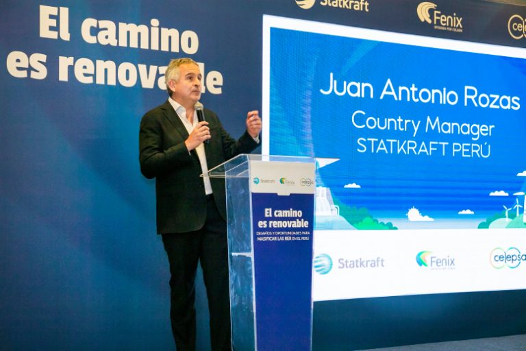 “Para que la matriz energética renovable alcance un 20%, corresponde desarrollar una nueva normativa sin subsidios”