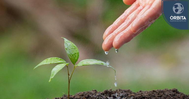 Agricultura: Una alternativa para mitigar la escasez de fertilizantes