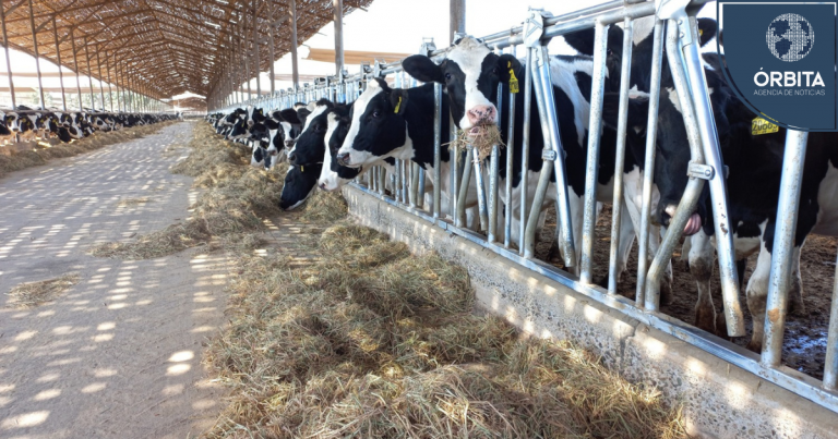 Importación de más de 2.000 toneladas de soya por parte de Leche Gloria mitigará crisis de ganaderos