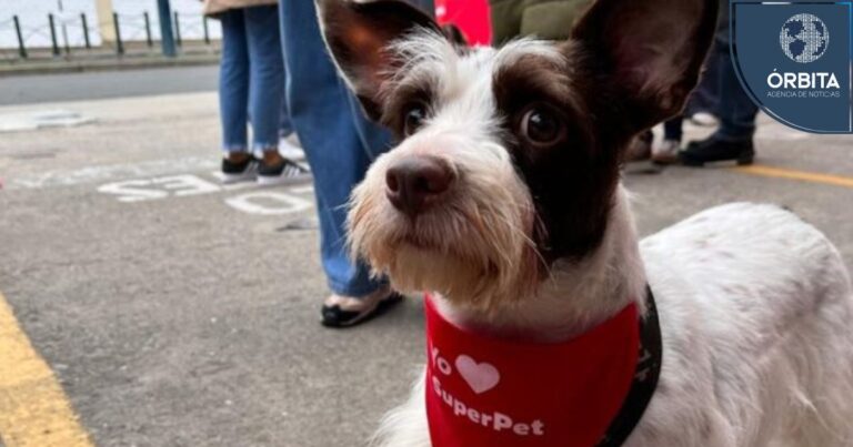 Únete a la jornada nacional de adopción más grande del Perú con Superpet: «Por más mascotas felices»