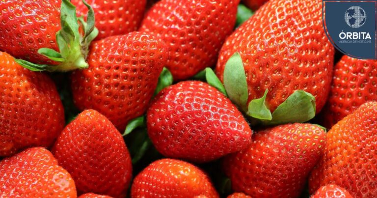 Verano 2024: Alimentos que permitirán mantener hidratado el cuerpo
