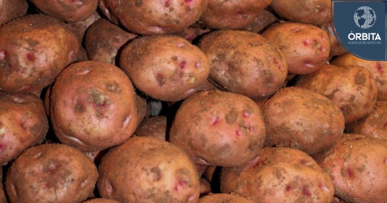 Día de la Papa: Sal de la rutina con este súper alimento