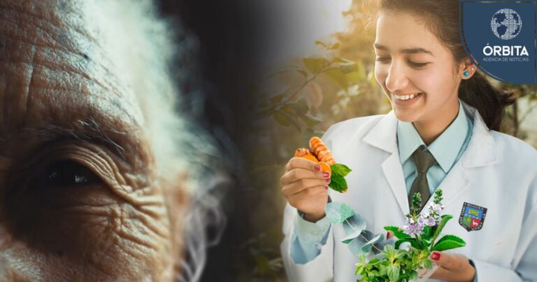Cuatro hierbas medicinales que manejan problemas de salud
