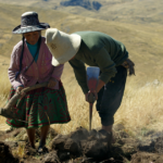 Kinra, el viaje de Atoqcha, la película cusqueña que refleja la fuerza de nuestra identidad y representa a miles de jóvenes quechuahablantes ya está en cines de Lima, Cusco Y Arequipa