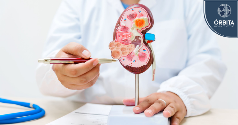 Cáncer renal: Prevalencia, síntomas, factores de riesgo y tratamientos