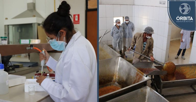 Proyecto peruano busca convertir la panela en superalimento con llegada a Europa 