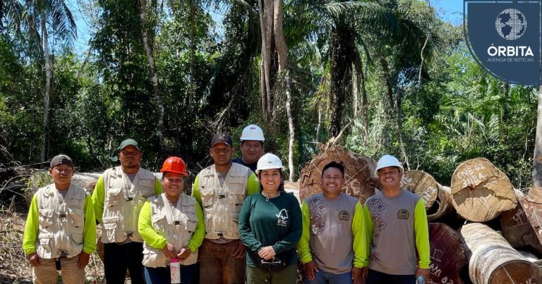 Con 73 millones de hectáreas de bosques, Perú proyecta ampliar la certificación forestal sostenible en toda la Amazonía