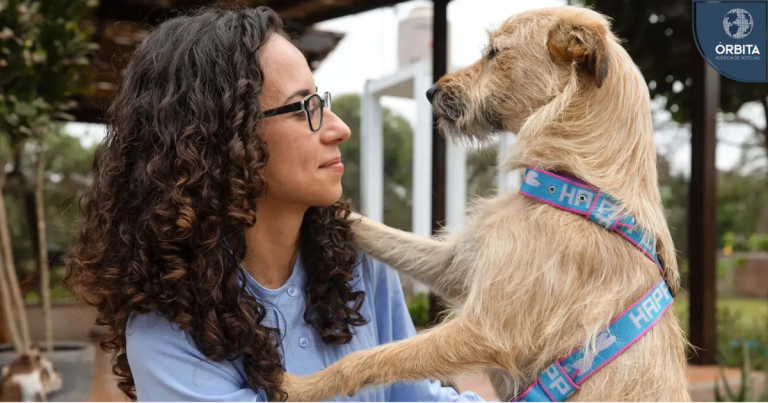 Adiós a las mascotas perdidas: Nuevo chip funciona incluso sin conexión a internet