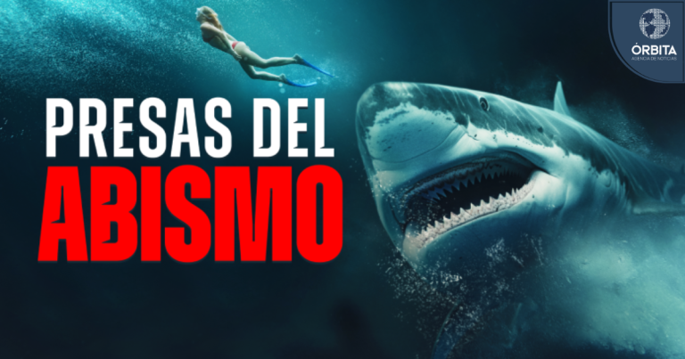 Cine de tibures, acción, terror y suspenso con Richard Dreyfuss y Ron Perlman