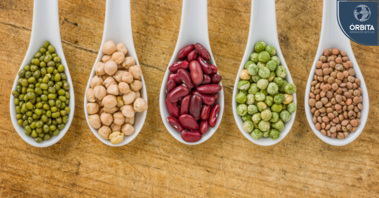 Día Mundial de las Legumbres: 5 motivos para incluir estos alimentos en tu plato