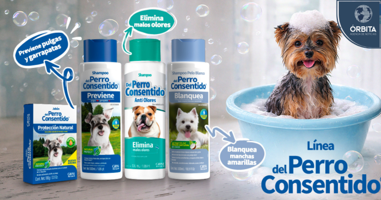 10 pasos para bañar a tu perro consentido 