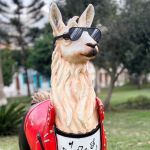 Llama peruana inspirada en el look  «Beat it» de Michael Jackson llega a Lima